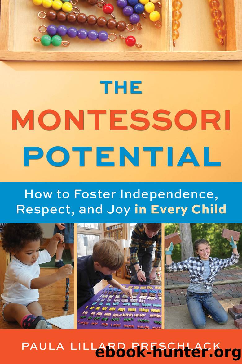 The Montessori Potential by Paula Lillard Preschlack