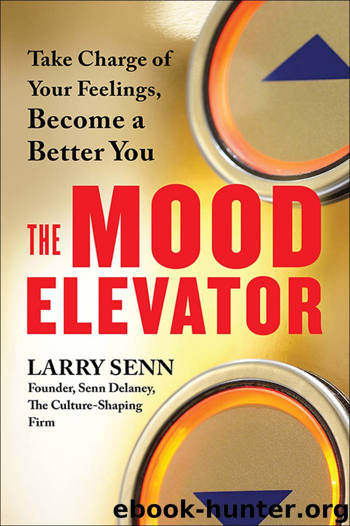 The Mood Elevator by Larry Senn