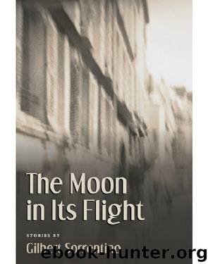The Moon In Its Flight by Sorrentino Gilbert