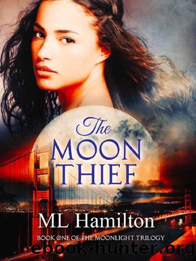 The Moon Thief (The Moonlight Trilogy Book 1) by M.L. Hamilton