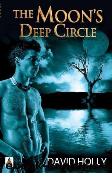 The Moon's Deep Circle by Holly David