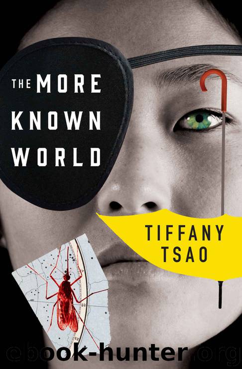 The More Known World (The Oddfits Series Book 2) by Tiffany Tsao