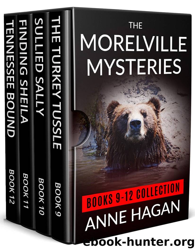 The Morelville Mysteries: Books 9-12 Collection by Anne Hagan