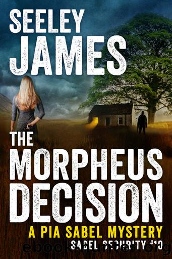 The Morpheus Decision by Seeley James