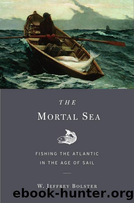 The Mortal Sea by Bolster W. Jeffrey