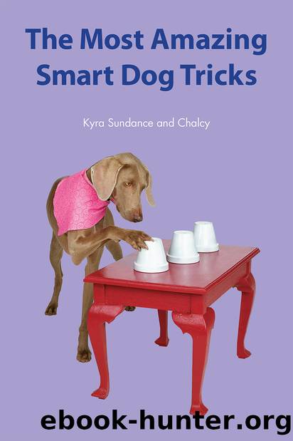 The Most Amazing Silly Dog Tricks by Kyra Sundance