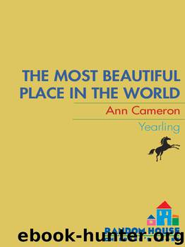 The Most Beautiful Place in the World by Ann Cameron