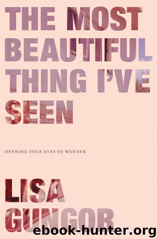 The Most Beautiful Thing I've Seen by Lisa Gungor