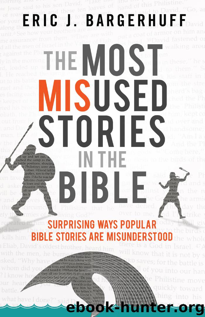 The Most Misused Stories in the Bible by Eric J. Bargerhuff