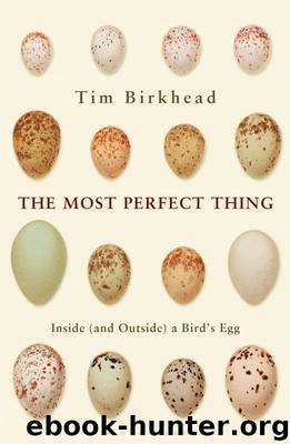 The Most Perfect Thing by Tim Birkhead