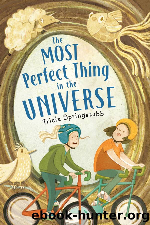 The Most Perfect Thing in the Universe by Tricia Springstubb