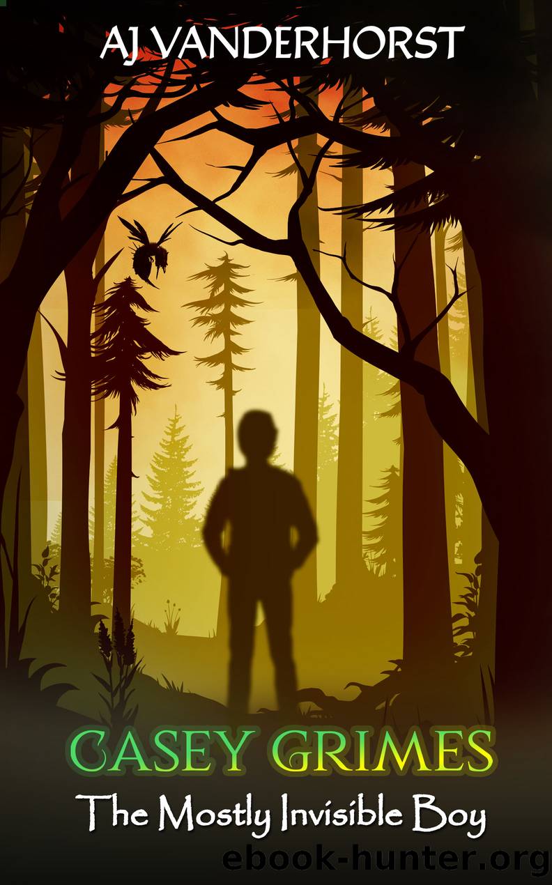 The Mostly Invisible Boy by AJ Vanderhorst