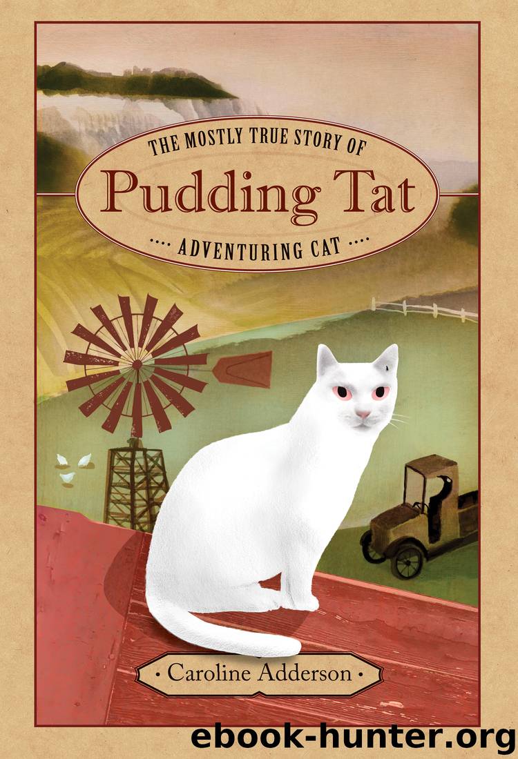 The Mostly True Story of Pudding Tat, Adventuring Cat by Caroline Adderson