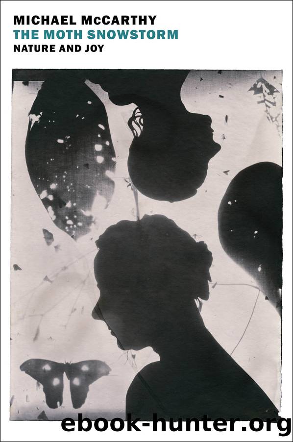 The Moth Snowstorm by Michael McCarthy