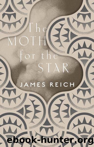 The Moth for the Star by James Reich