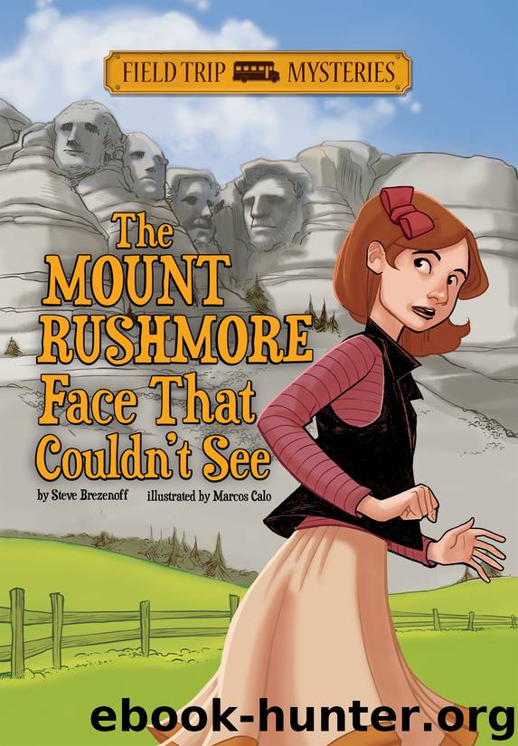 The Mount Rushmore Face That Couldn't See by Steve Brezenoff