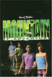 The Mountain of Adventure by Enid Blyton