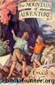 The Mountain of adventure by Enid Blyton