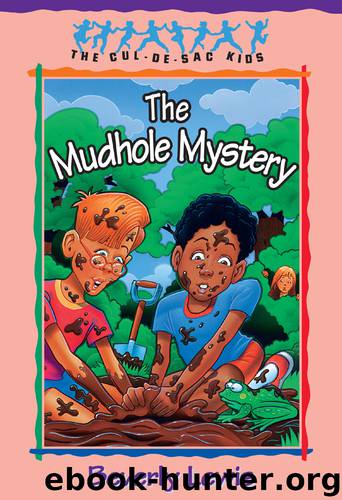 The Mudhole Mystery by Beverly Lewis