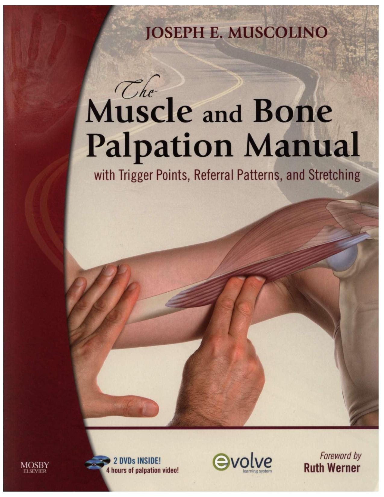 The Muscle and Bone Palpation Manual With Trigger Points, Referral Patterns & Stretch by unknow