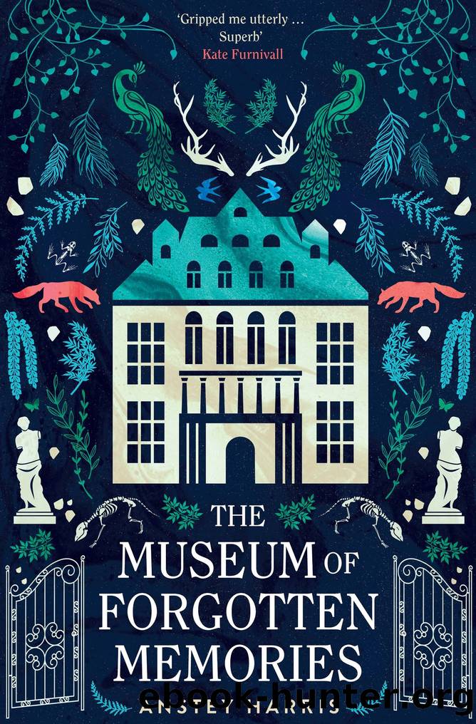 The Museum of Forgotten Memories by Anstey Harris