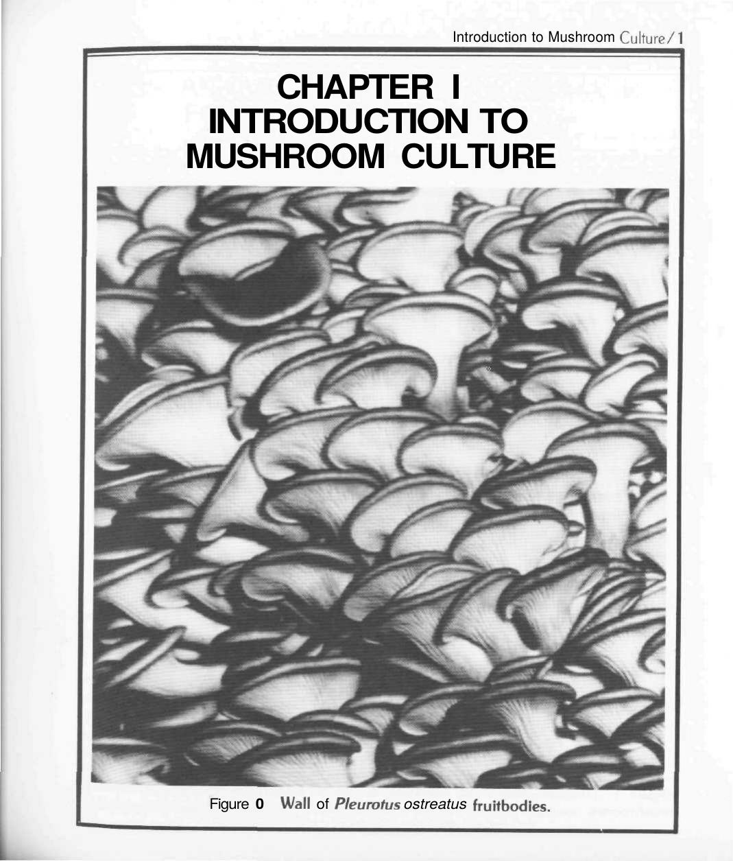 The Mushroom Cultivator by Paul Stamets & J. S. Chilton