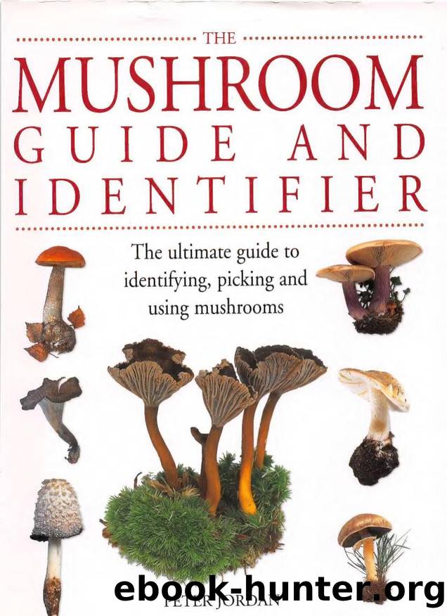 The Mushroom Guide And Identifier: The Ultimate Guide To Identifying, Picking And Using Mushrooms by Unknown