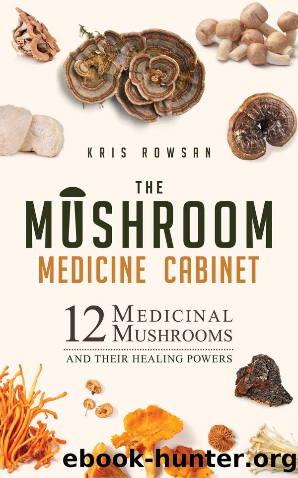 The Mushroom Medicine Cabinet: 12 Medicinal Mushrooms and Their Healing Powers by Kris Rowsan
