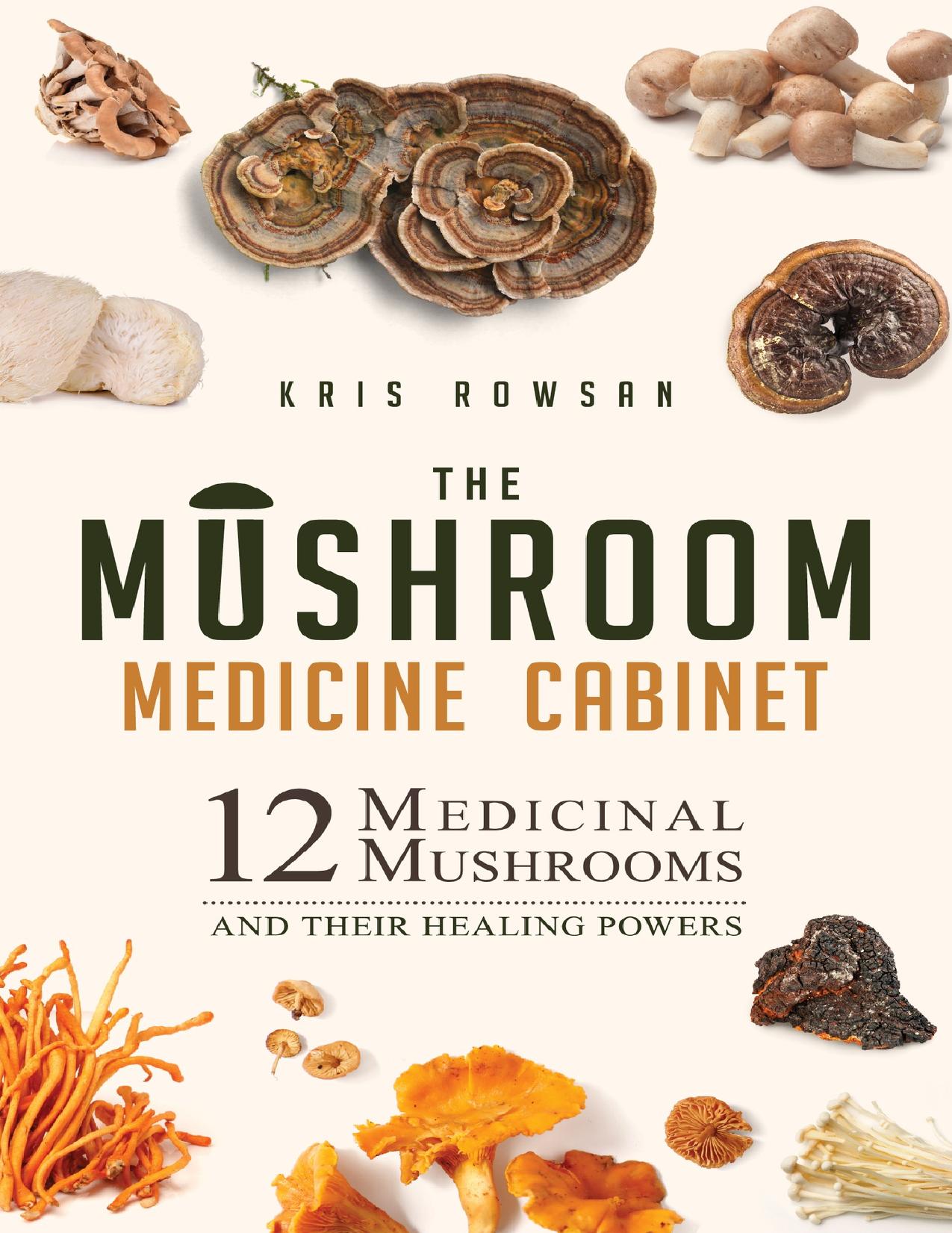 The Mushroom Medicine Cabinet: 12 Medicinal Mushrooms and Their Healing Powers by Rowsan Kris