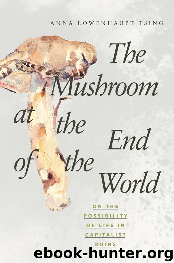 The Mushroom at the End of the World by Anna Lowenhaupt Tsing