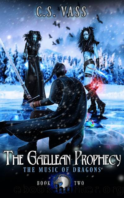 The Music of Dragons by C.S. Vass