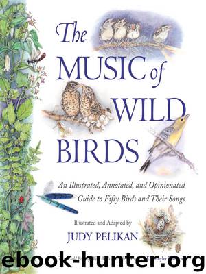 The Music of Wild Birds by Judy Pelikan