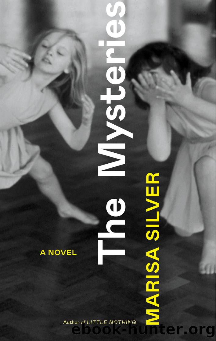 The Mysteries by Marisa Silver