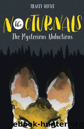 The Mysterious Abductions by Tracey Hecht