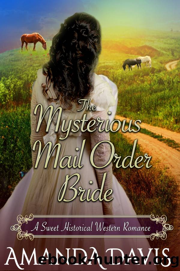 The Mysterious Mail Order Bride by Amanda Davis