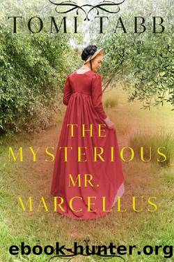 The Mysterious Mr. Marcellus by Tomi Tabb