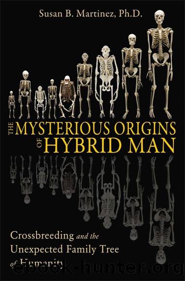The Mysterious Origins of Hybrid Man: Crossbreeding and the Unexpected Family Tree of Humanity by Susan B. Martinez
