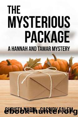 The Mysterious Package by Nardi Christa & Salem Cassidy