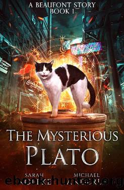 The Mysterious Plato (A Beaufont Short Story Book 1) by Sarah Noffke & Michael Anderle