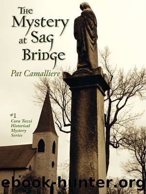 The Mystery at Sag Bridge by Pat Camalliere