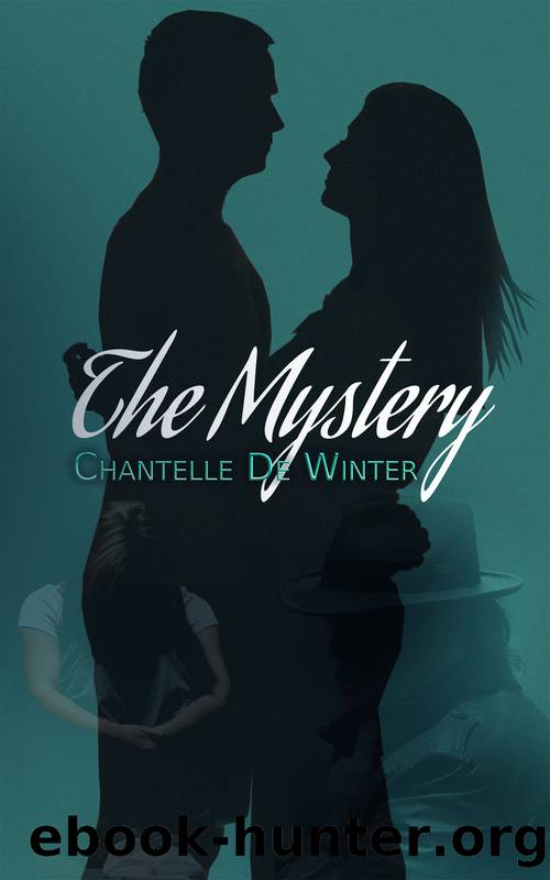 The Mystery by Chantelle De Winter