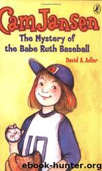 The Mystery of Babe Ruth Baseball by David A. Adler