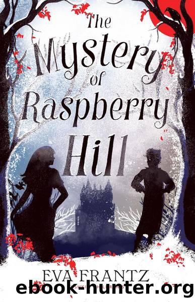 The Mystery of Raspberry Hill by Eva Frantz