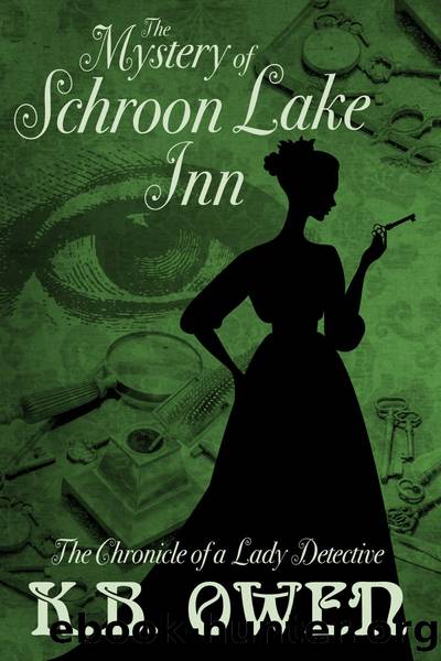 The Mystery of Schroon Lake Inn by K.B. Owen