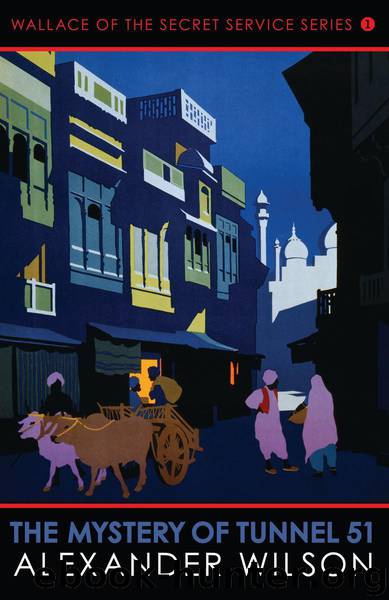 The Mystery of Tunnel 51 (Wallace of the Secret Service Series) by Wilson Alexander