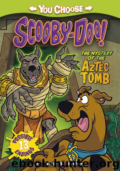 The Mystery of the Aztec Tomb by Laurie S. Sutton