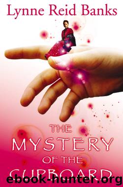 The Mystery of the Cupboard by Lynne Reid Banks