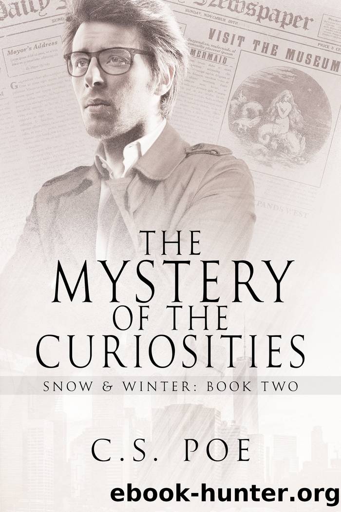 The Mystery of the Curiosities by C. S. Poe