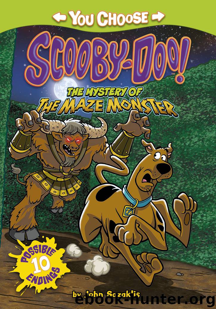 The Mystery of the Maze Monster by John Sazaklis