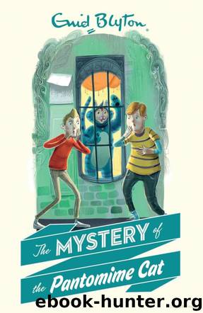 The Mystery of the Pantomime Cat by Enid Blyton
